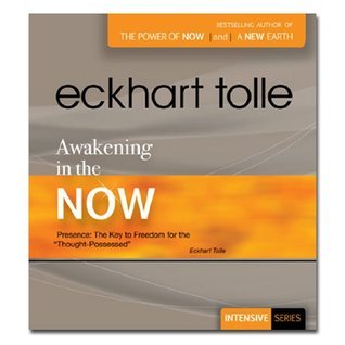 Awakening in the Now book cover