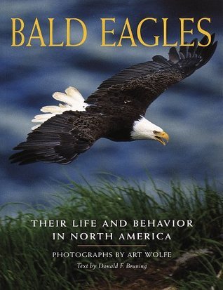 Bald Eagles book cover