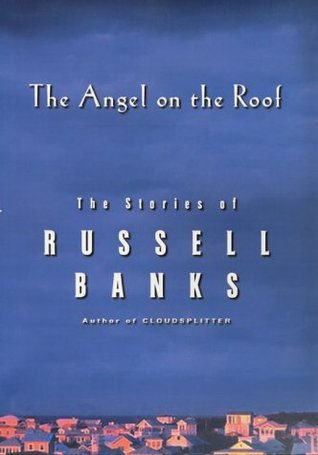 The Angel on the Roof book cover
