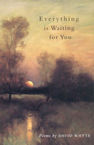 Everything Is Waiting for You book cover