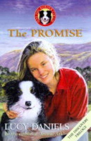 The Promise book cover