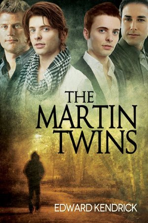 The Martin Twins book cover