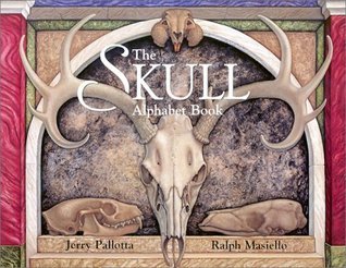 The Skull Alphabet Book book cover