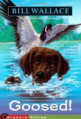 Goosed! book cover
