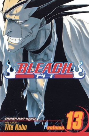 Bleach, Vol. 13 book cover