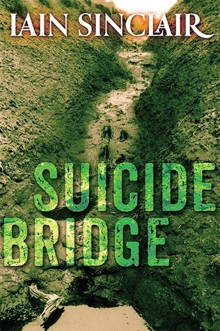 Suicide Bridge book cover
