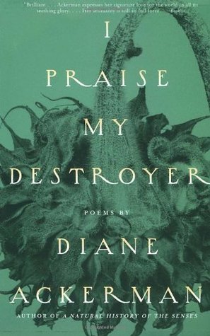 I Praise My Destroyer book cover