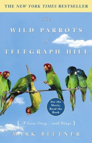 Cover of The Wild Parrots of Telegraph Hill: A Love Story . . . with Wings