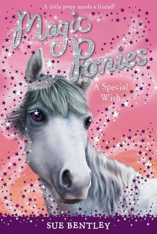 A Special Wish book cover