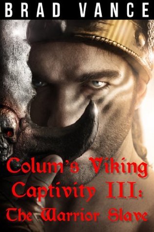 Colum's Viking Captivity book cover 3