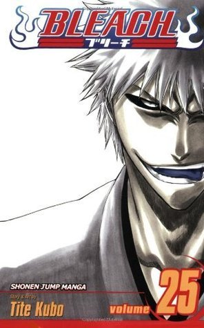 Bleach, Vol. 25 book cover