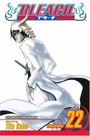 Bleach, Vol. 22 book cover