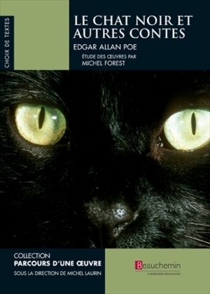 Le chat noir et autres contes book cover