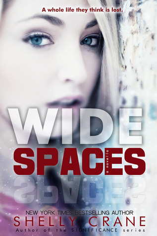 Cover of Wide Spaces