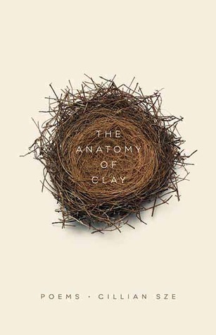 The Anatomy of Clay book cover