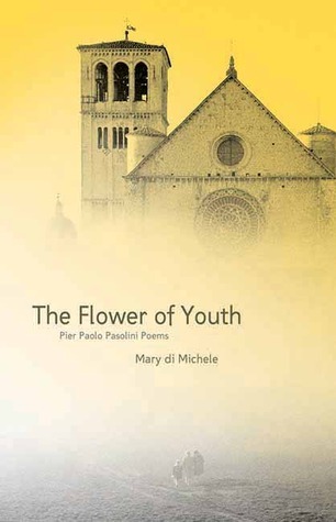 The Flower of Youth book cover