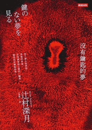 Dream Without a Key book cover