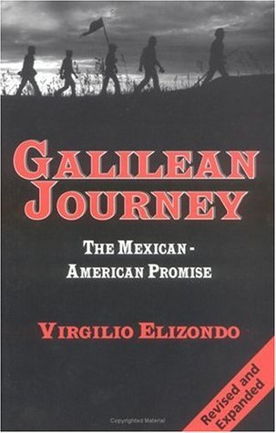 Galilean Journey book cover