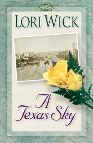 A Texas Sky book cover