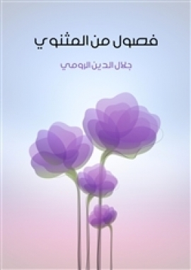 فصول من المثنوي book cover