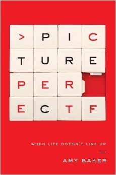 Picture Perfect book cover