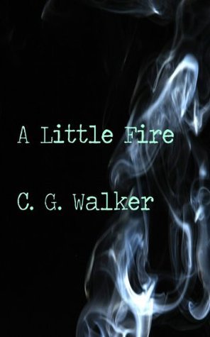 A Little Fire book cover