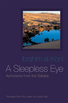 A Sleepless Eye book cover