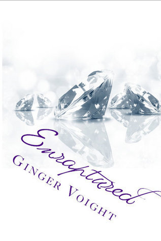 Fullerton Family Saga book cover 3