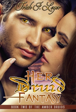 The Amber Druid Series book cover 2