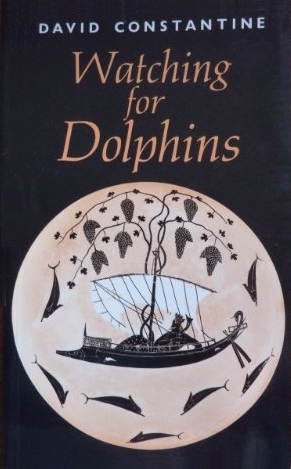 Watching for Dolphins book cover