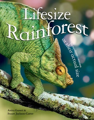 Lifesize book cover