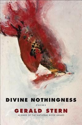 Divine Nothingness book cover