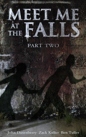 Meet Me At The Falls book cover 2