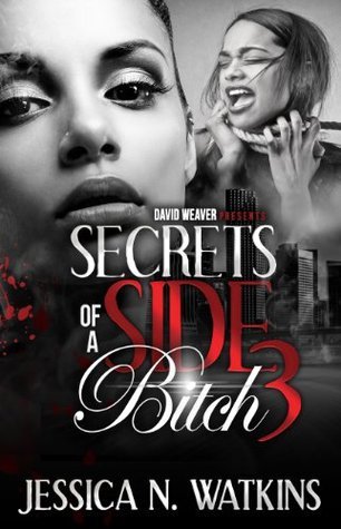 Secrets of a Side Bitch 3 book cover