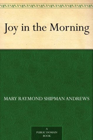 Joy in the Morning book cover