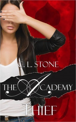Cover of Thief