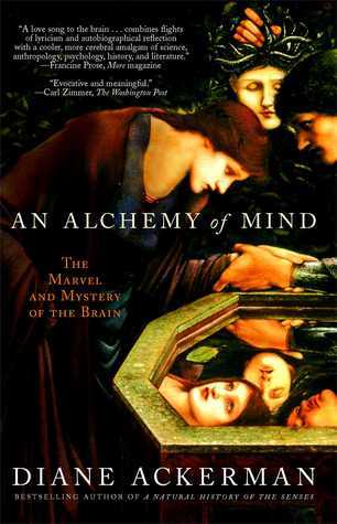 An Alchemy of Mind book cover