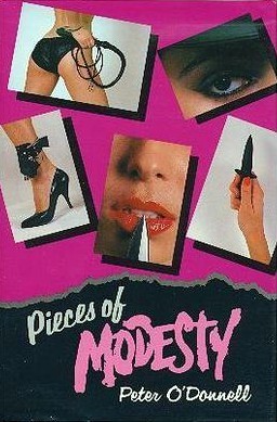 Pieces of Modesty book cover