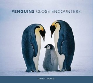 Penguins book cover