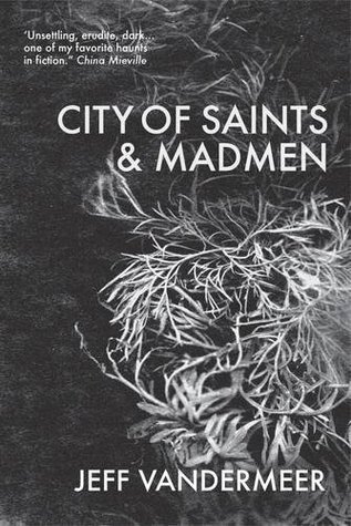 City of Saints and Madmen (Ambergris #1)