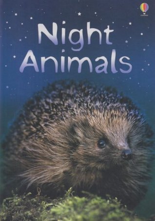 Night Animals (Usborne Beginners) book cover