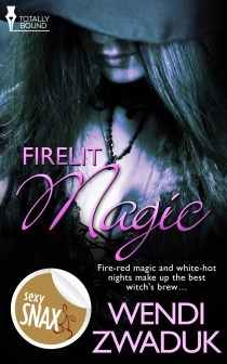 Firelit Magic book cover