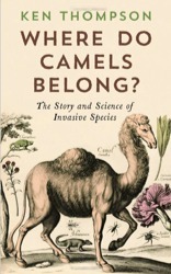 Where Do Camels Belong?