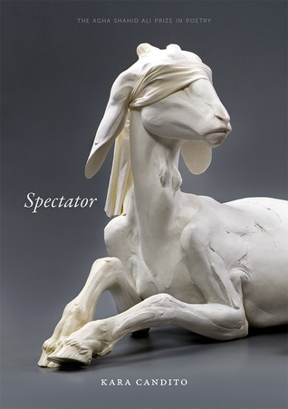Spectator book cover