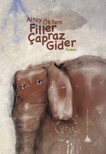 Filler Çapraz Gider book cover