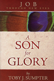 A Son For Glory book cover