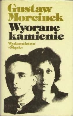 Wyorane kamienie book cover