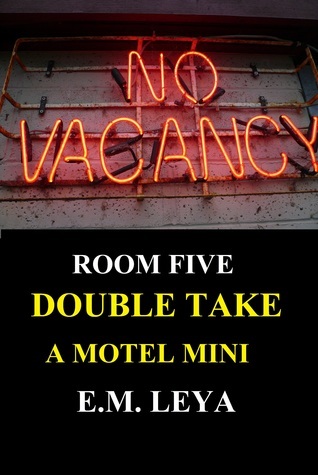 Double Take book cover