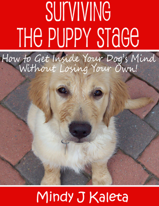 Surviving the Puppy Stage, How to Get Inside Your Dog's Mind Without