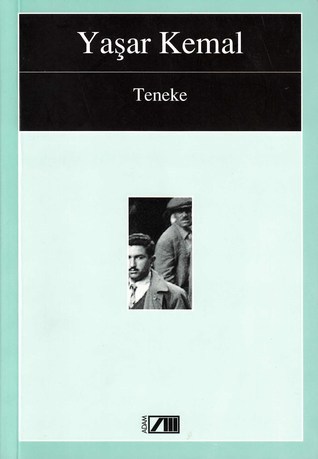Teneke book cover